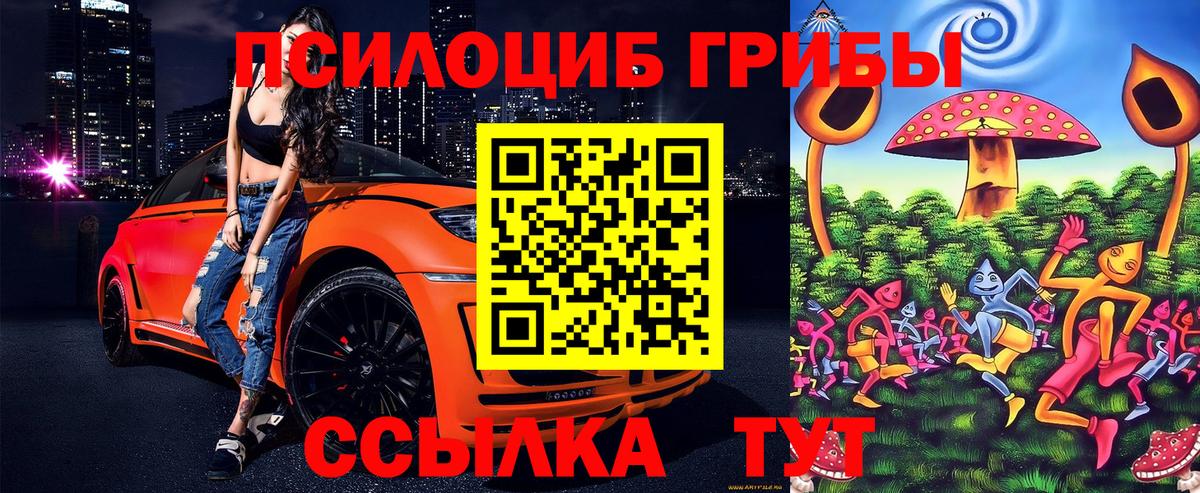 Галлюциногенные грибы GOLDEN TEACHER  цена наркотик  Омск  Вход с VPN 