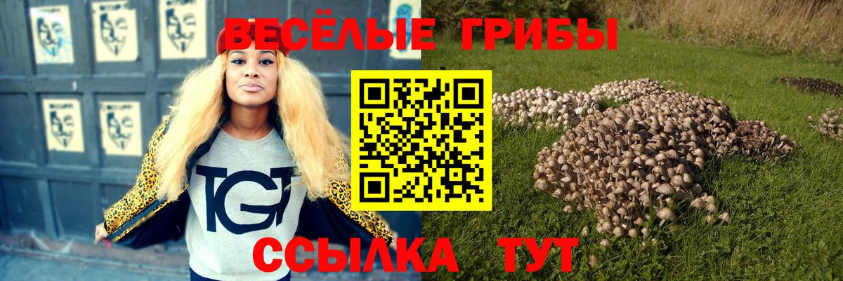 Псилоцибиновые грибы мухоморы Омск